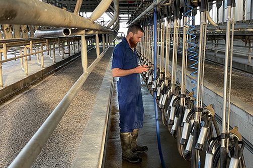 Using Wifi Connection to Access Farming Apps into the Cowshed